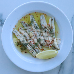 Biqueirão marinado_oSaborladaTerra